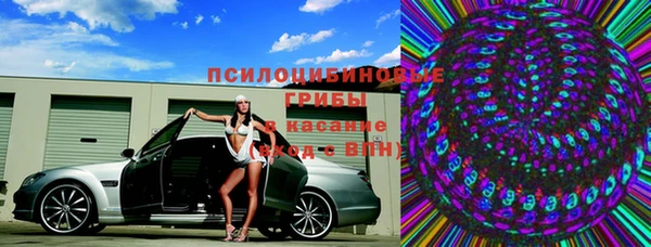 PSILOCYBIN Россошь